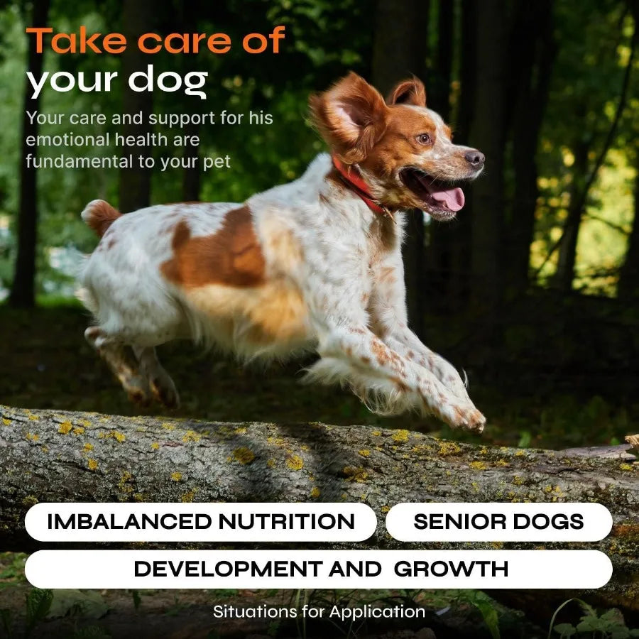 Premium 15-in-1 Dog Multivitamin Chews™